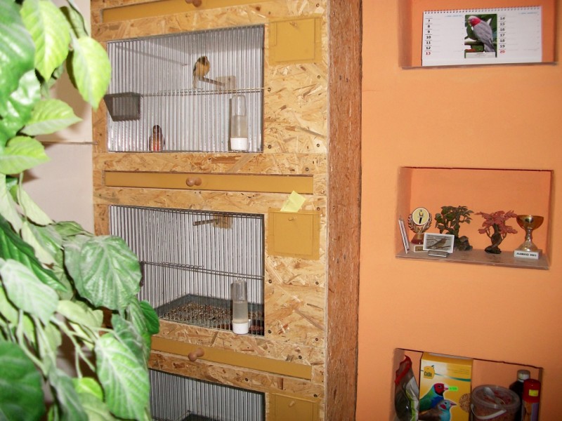 Bednové klece